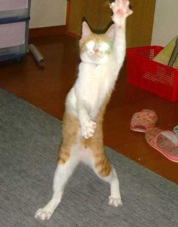 Die besten 100 Bilder in der Kategorie katzen: Alien-Katze tanzt