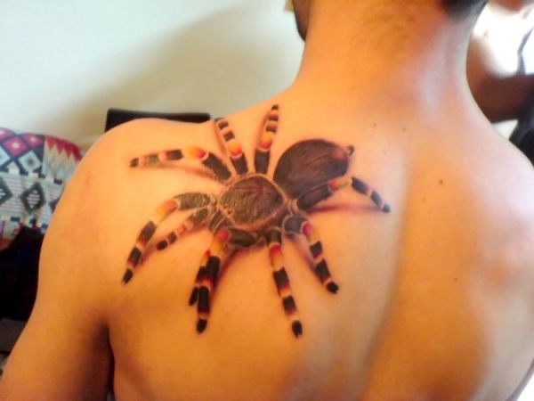 tattoo, fun, spider, spinne