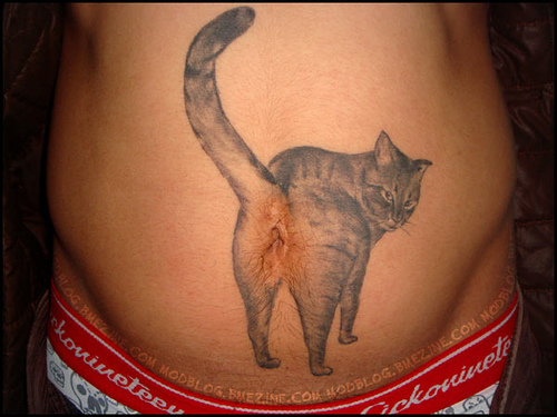 tattoo, fun, katze, cat