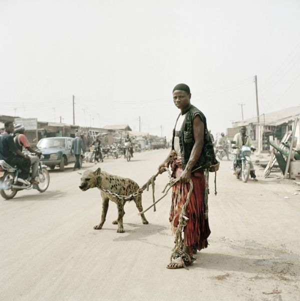 Die besten 100 Bilder in der Kategorie unglaublich: Africa Dog