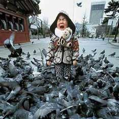 Die besten 100 Bilder in der Kategorie kinder: Tauben-Alarm