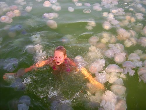 Die besten 100 Bilder in der Kategorie schlimme_sachen: Qallenbad