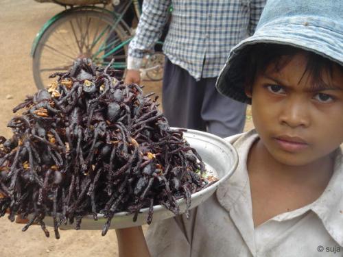 Die besten 100 Bilder in der Kategorie nahrung: Spinnen-Delikatesse aus Kambodscha
