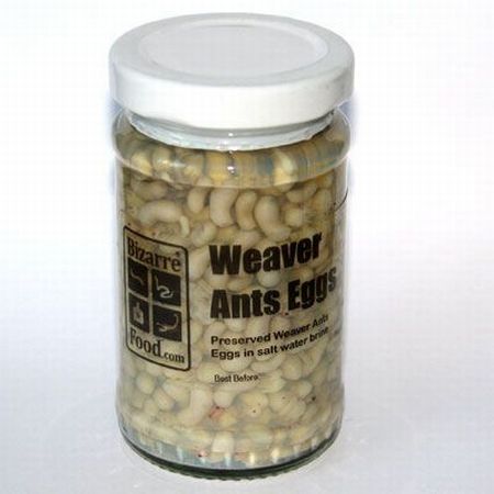 Die besten 100 Bilder in der Kategorie nahrung: Preserved Weaver Ants Eggs in salt water - Ameisen-Eier