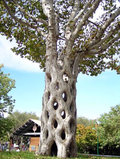 Baum mit Muster