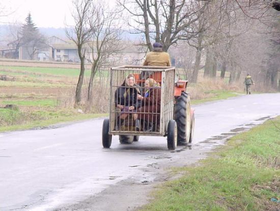 Die besten 100 Bilder in der Kategorie allgemein: transport, oma