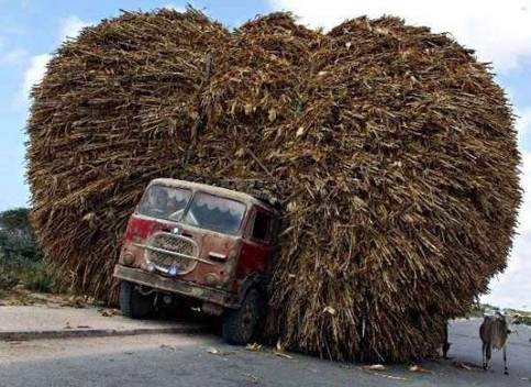 Die besten 100 Bilder in der Kategorie transport: LKW leicht beladen - Da geht doch noch was drauf!