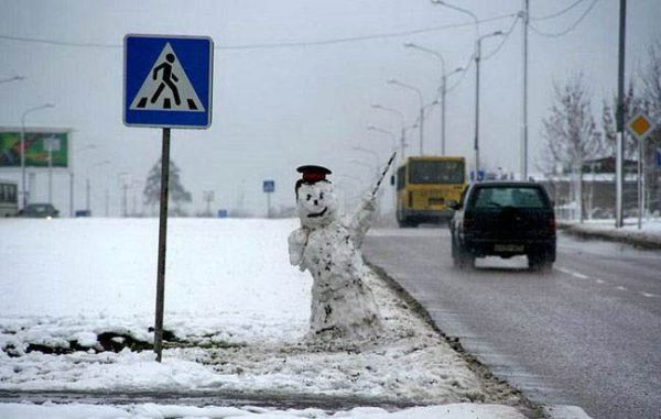 Die besten 100 Bilder in der Kategorie schnee: Snow-Hitchhiker - Schnee-Tramper