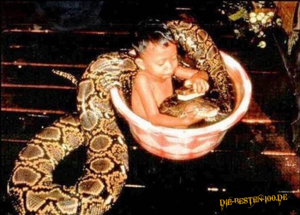 Die besten 100 Bilder in der Kategorie reptilien: Kind wÃ¤scht Schlange
