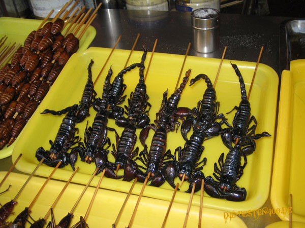 Die besten 100 Bilder in der Kategorie nahrung: Fritierte Skorpione