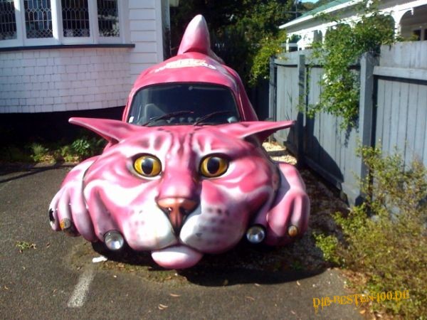 Ich hatte frÃ¼her auch mal einen Cat-car