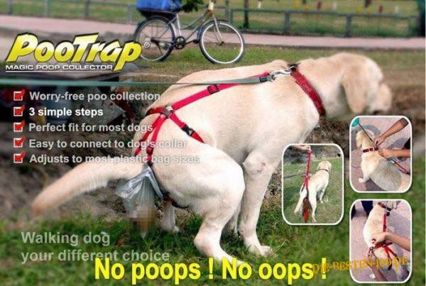 Die besten 100 Bilder in der Kategorie hunde: PooTrap, Mobiles Hundeklo