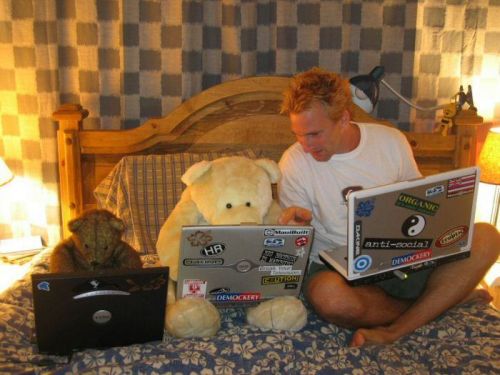 teddy, laptop