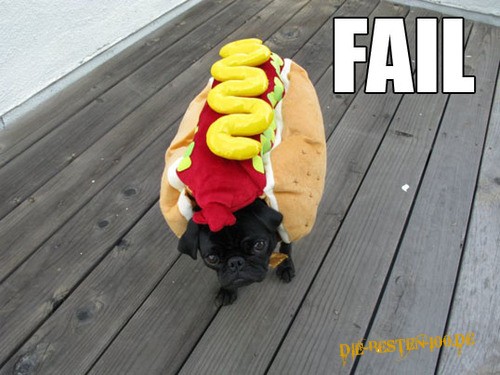 Die besten 100 Bilder in der Kategorie hunde: Hot-Dog