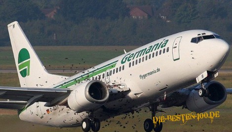 Vogelschwarm bei Flugzeug-Start