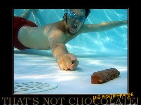 Die besten 100 Bilder in der Kategorie schlimme_sachen: That's not Chocolate! Kacke im Pool! Sinker!