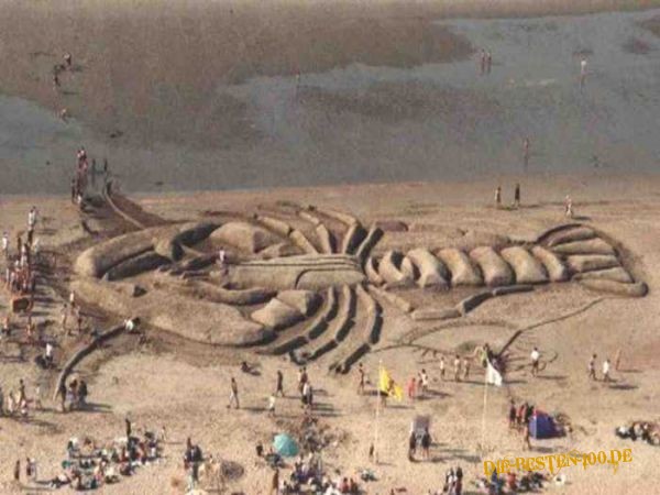 Die besten 100 Bilder in der Kategorie sand_kunst: Riesen-Hummer aus Sand