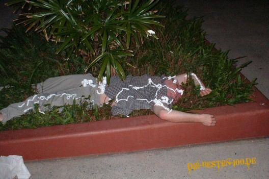 Die besten 100 Bilder in der Kategorie betrunkene: Betrunkener liegt im Gras