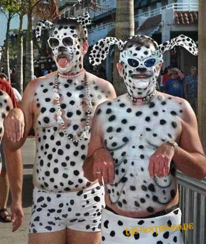 Die besten 100 Bilder in der Kategorie verkleidungen: Dalmatiner