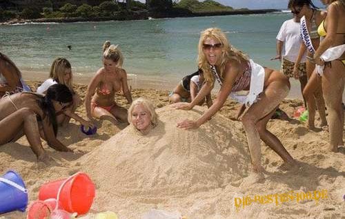 Die besten 100 Bilder in der Kategorie sand_kunst: blonde Sand-SchildkrÃ¶te