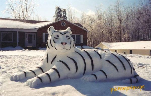 Schnee-Tiger