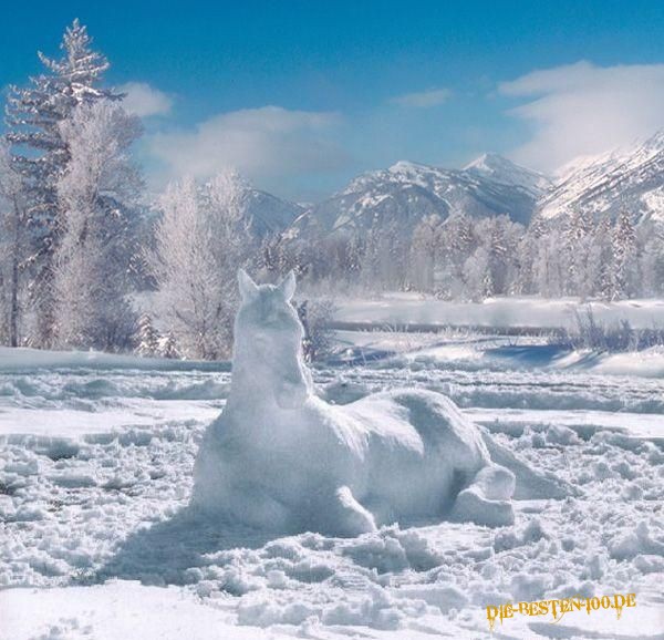Die besten 100 Bilder in der Kategorie schnee: Schneepferd