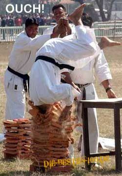 Die besten 100 Bilder in der Kategorie sport: karate mit Ziegelsteinen