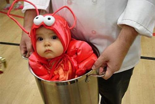 Die besten 100 Bilder in der Kategorie verkleidungen: Koch mit Lobster im Kochtopf