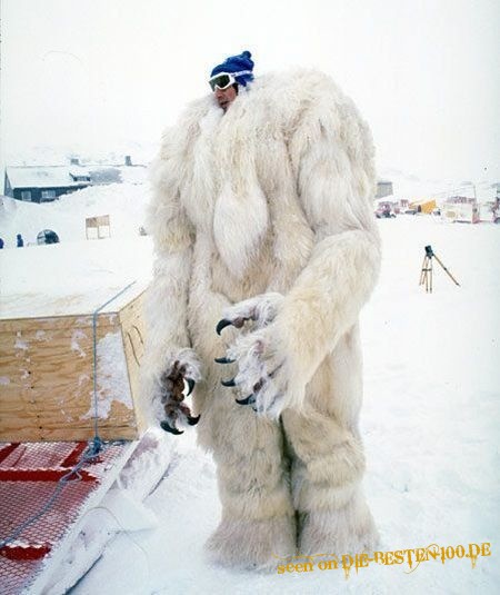 Die besten 100 Bilder in der Kategorie verkleidungen: Yeti-Verkleidung