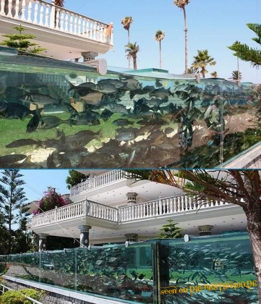 Aquarium ums Haus