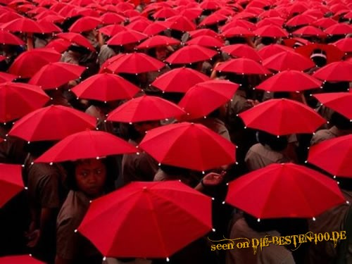 Die besten 100 Bilder in der Kategorie allgemein: Konformes Regen-Outfit