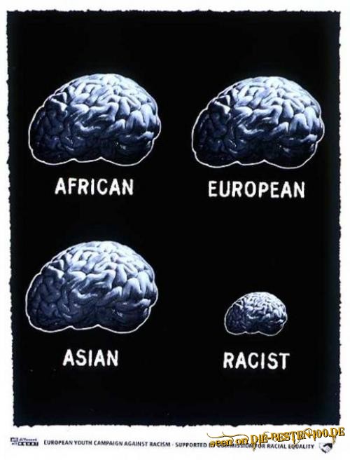 Brainsize of an african, european, asian and an racist