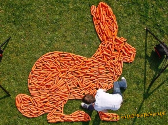 Die besten 100 Bilder in der Kategorie kunst: Karotten-Hase
