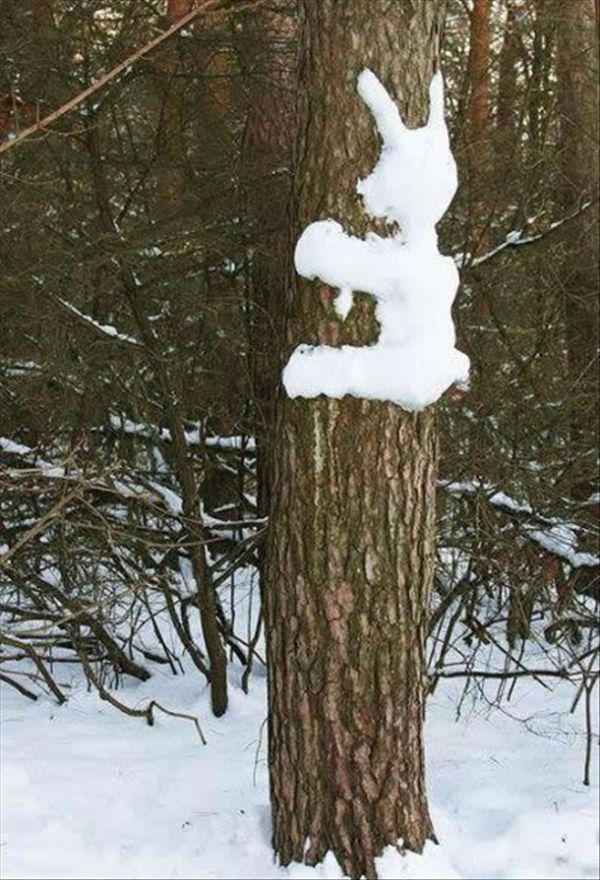 Schneehase an Baum