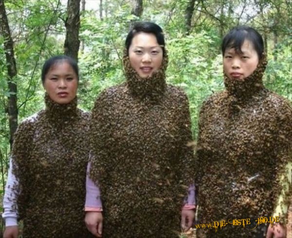 Die besten 100 Bilder in der Kategorie frauen: Bienen-Kleider
