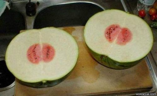 Die besten 100 Bilder in der Kategorie nahrung: melone