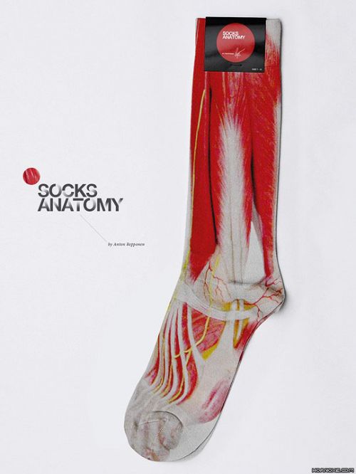 socks, socken, anatomie