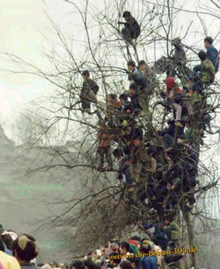Die besten 100 Bilder in der Kategorie menschen: Die Menschen im Baum sind reif zur Ernte