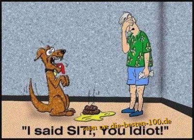 Die besten 100 Bilder in der Kategorie cartoons: I said sit! dog Cartoon