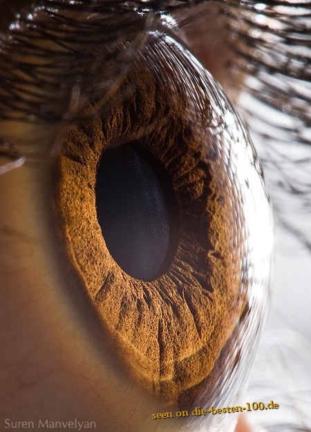 Makro Aufnahme Auge Iris 
