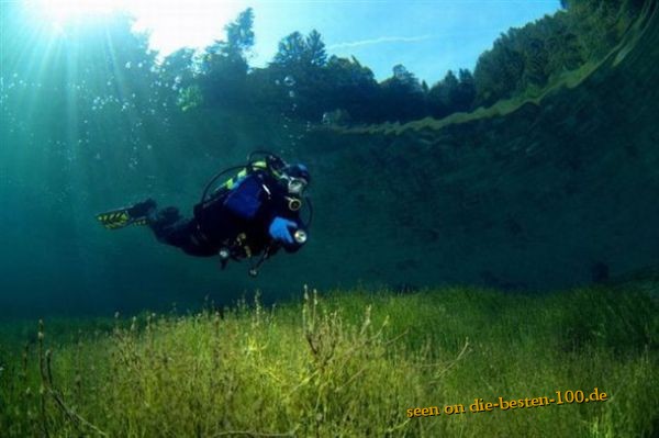 Die besten 100 Bilder in der Kategorie natur: Unterwasser-Wiese mit Taucher - awesome underwater picture