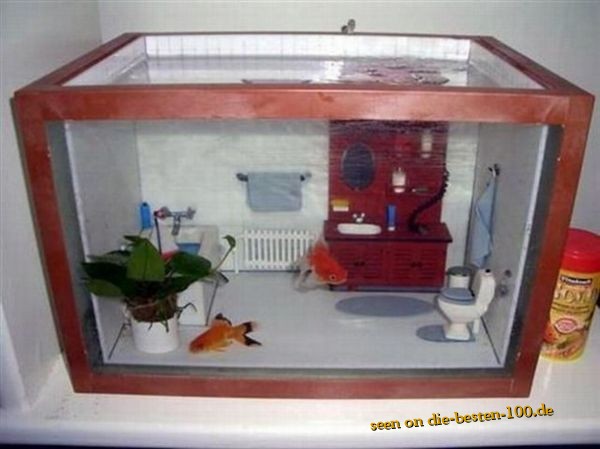 Badezimmer-Aquarium Inventar mit Goldfische