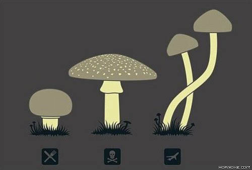 Die besten 100 Bilder in der Kategorie cartoons: Pilze, fliegen, drogen
