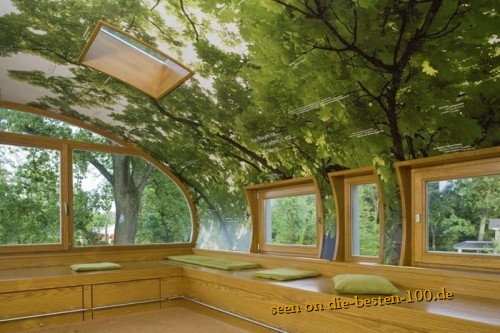 Die besten 100 Bilder in der Kategorie wohnen: Baumhaus mit Baum-Tapete