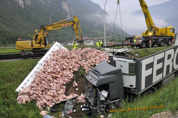 Schinken-Unfall - Ham-Accident