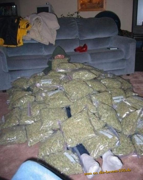 Gras-Bettdecke - unglaublich viel Marihuanna