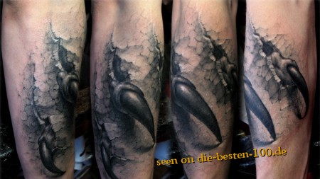 Die besten 100 Bilder in der Kategorie coole_tattoos: super gestochenes 3D Tattoo mit Pranken