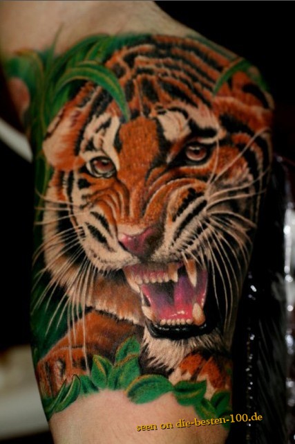 Die besten 100 Bilder in der Kategorie coole_tattoos: Tiger Tattoo