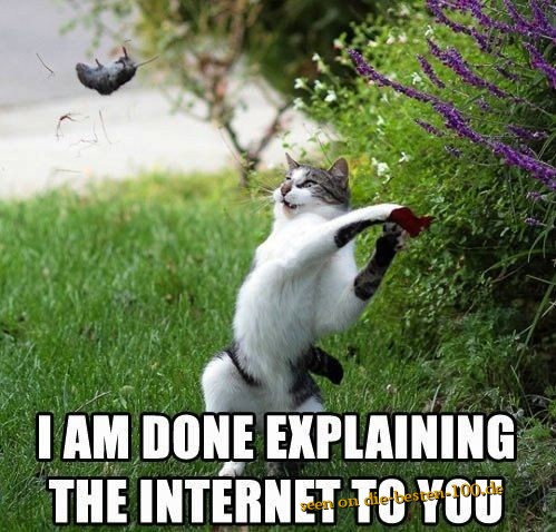 I am done explaining the Internet to you - Mouse in Cat Trouble