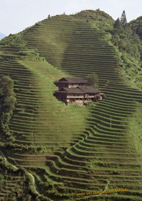 Die besten 100 Bilder in der Kategorie wohnen: Haus in Reisfeldern